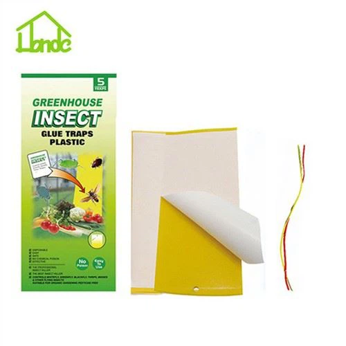 Fruit Fly Trap Κολλώδης παγίδα κόλλας εντόμων